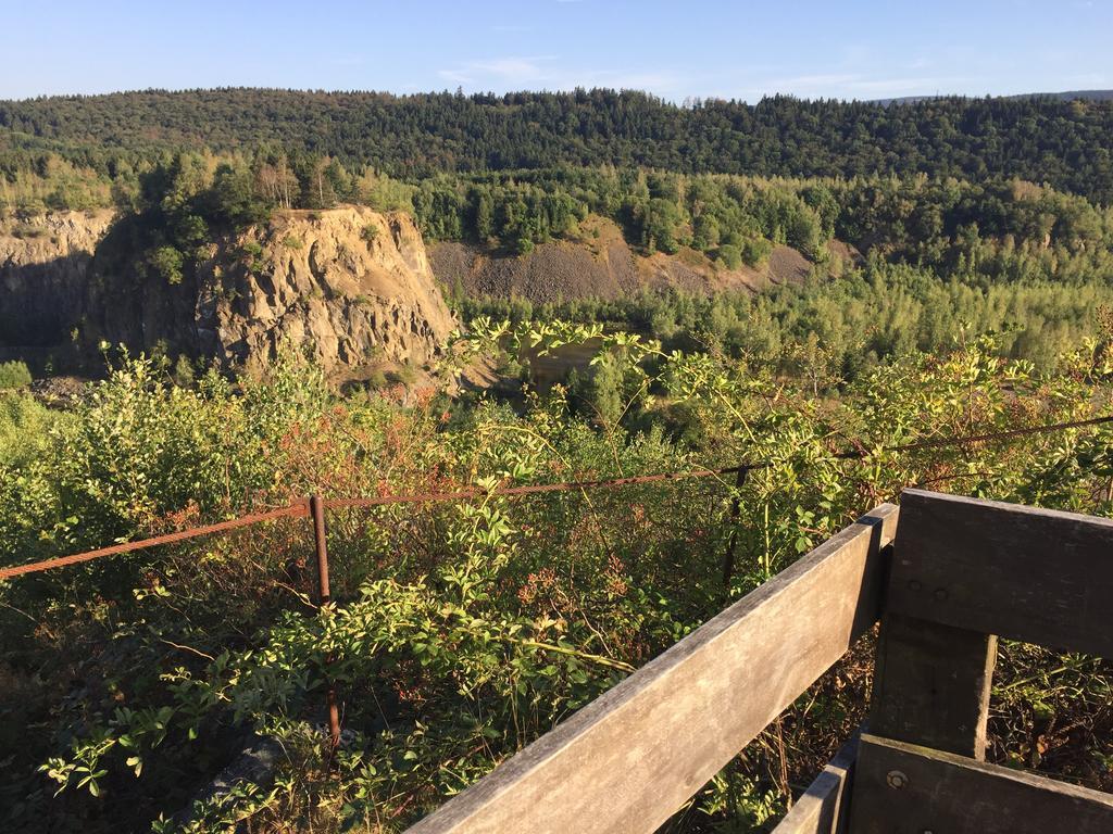 Wolfsbau Ferienwohnung Langelsheim Zewnętrze zdjęcie
